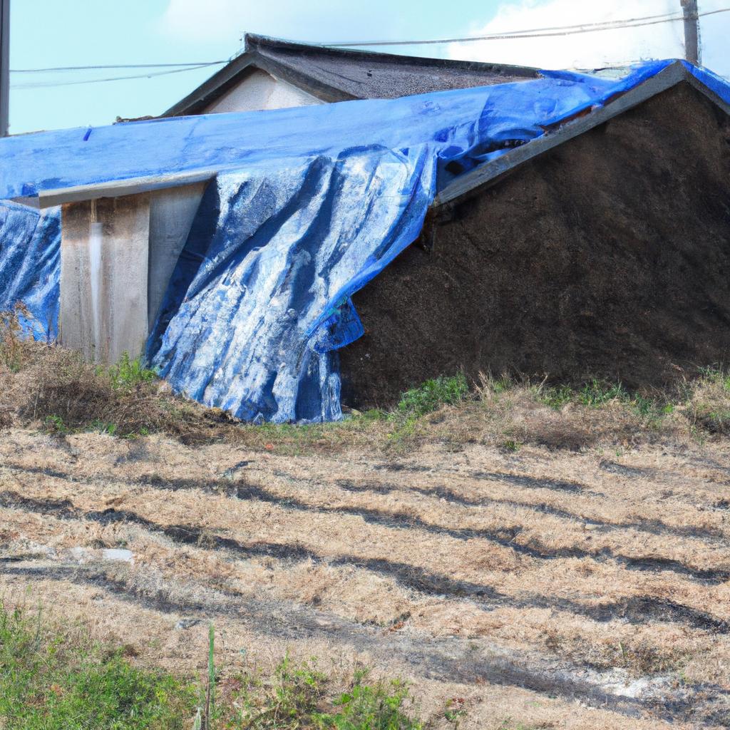 南熊本の空地を活かして、未来を拓く！